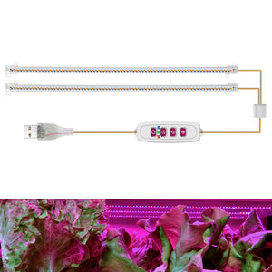 Luz Decorativa