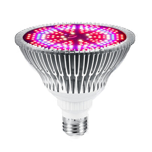 Luz Decorativa