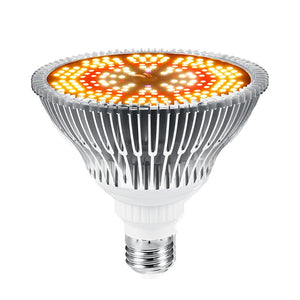 Luz Decorativa