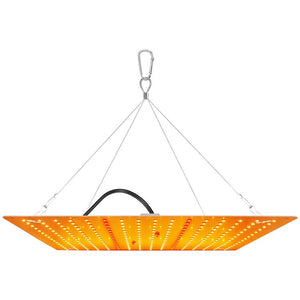 Luz Decorativa
