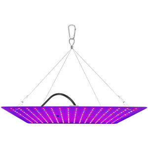 Luz Decorativa